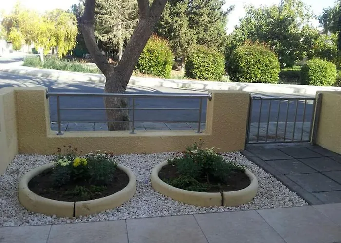 Dalia 13 パ フォス